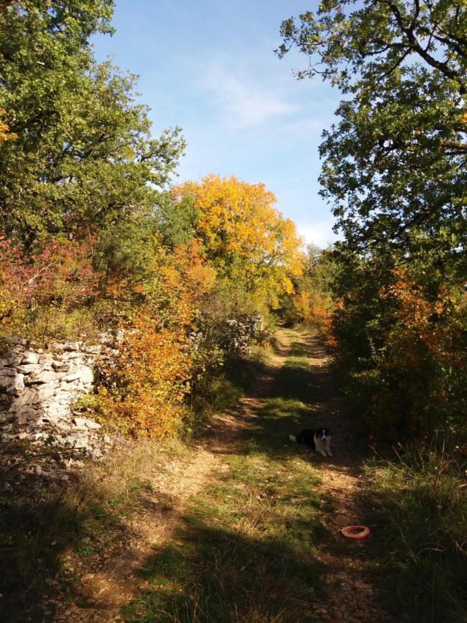 Les Trois Prunelles Saint-Pierre-Toirac Exteriér fotografie